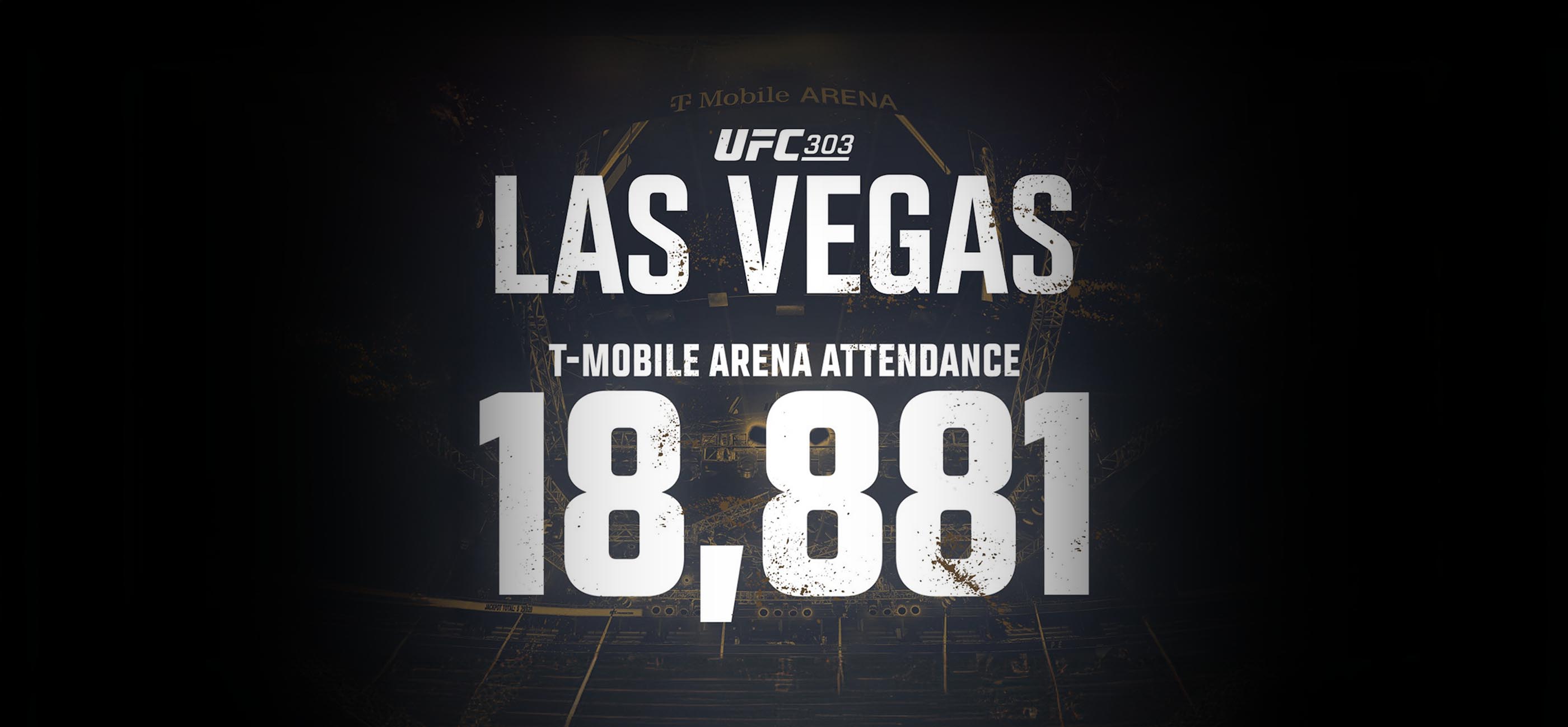 ufc record banner