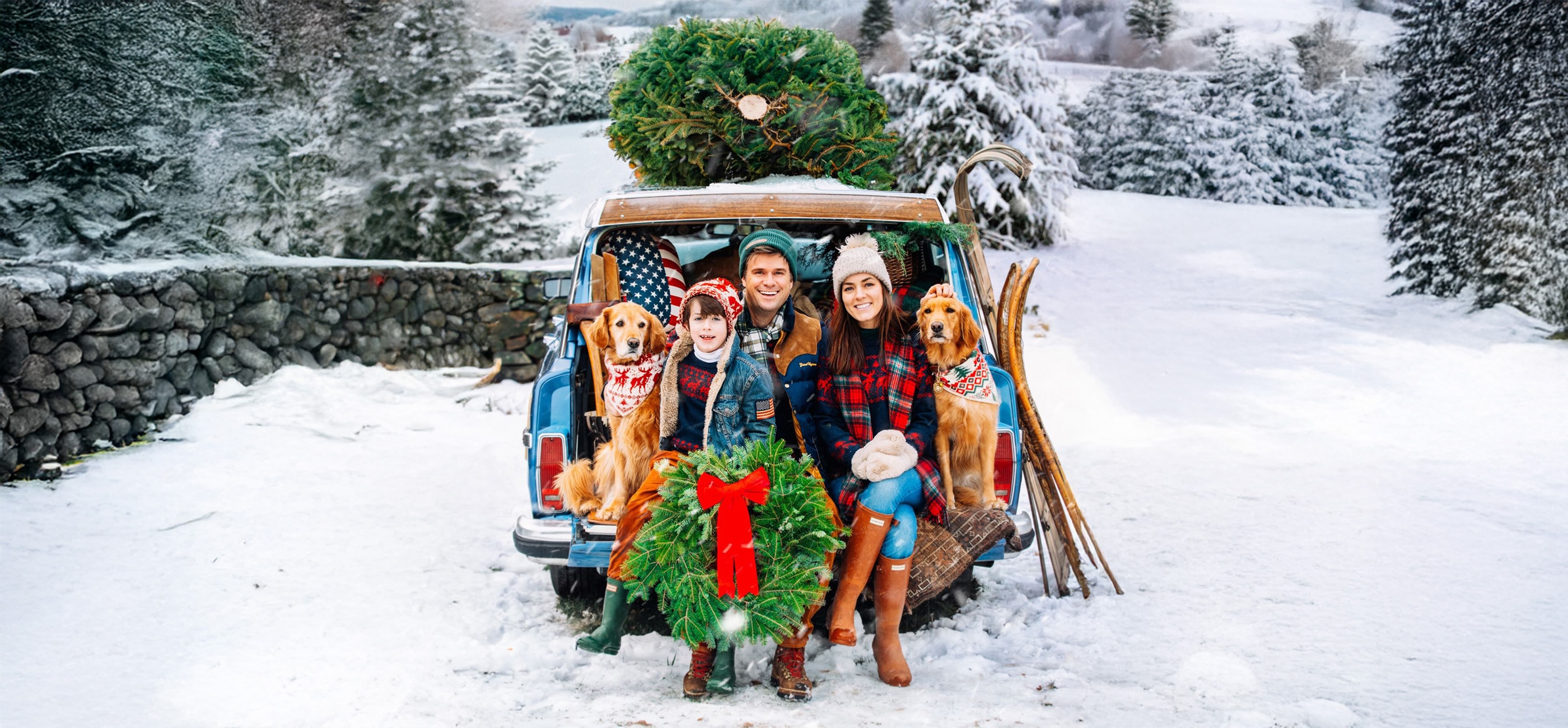 KJP hero