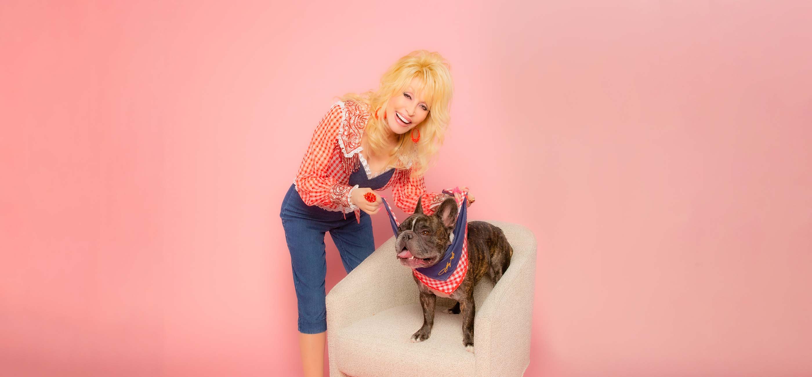 Doggy Parton Banner