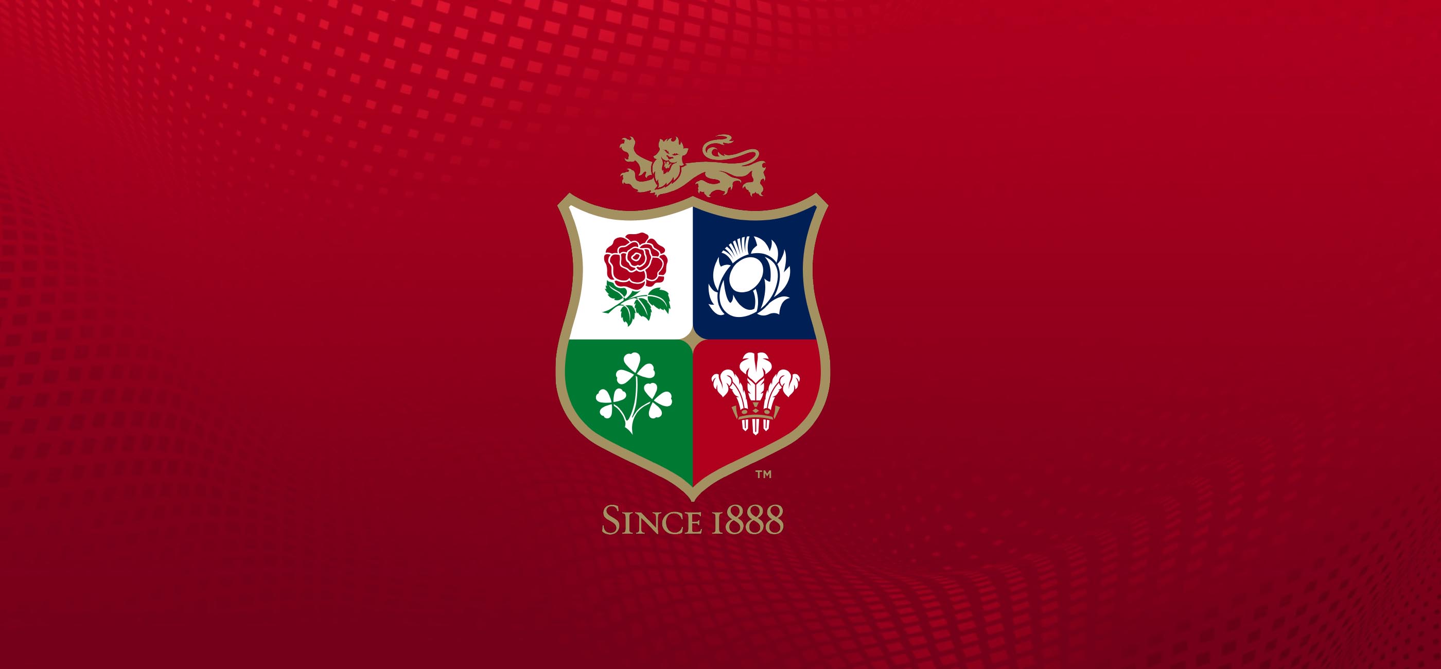 lions charity banner