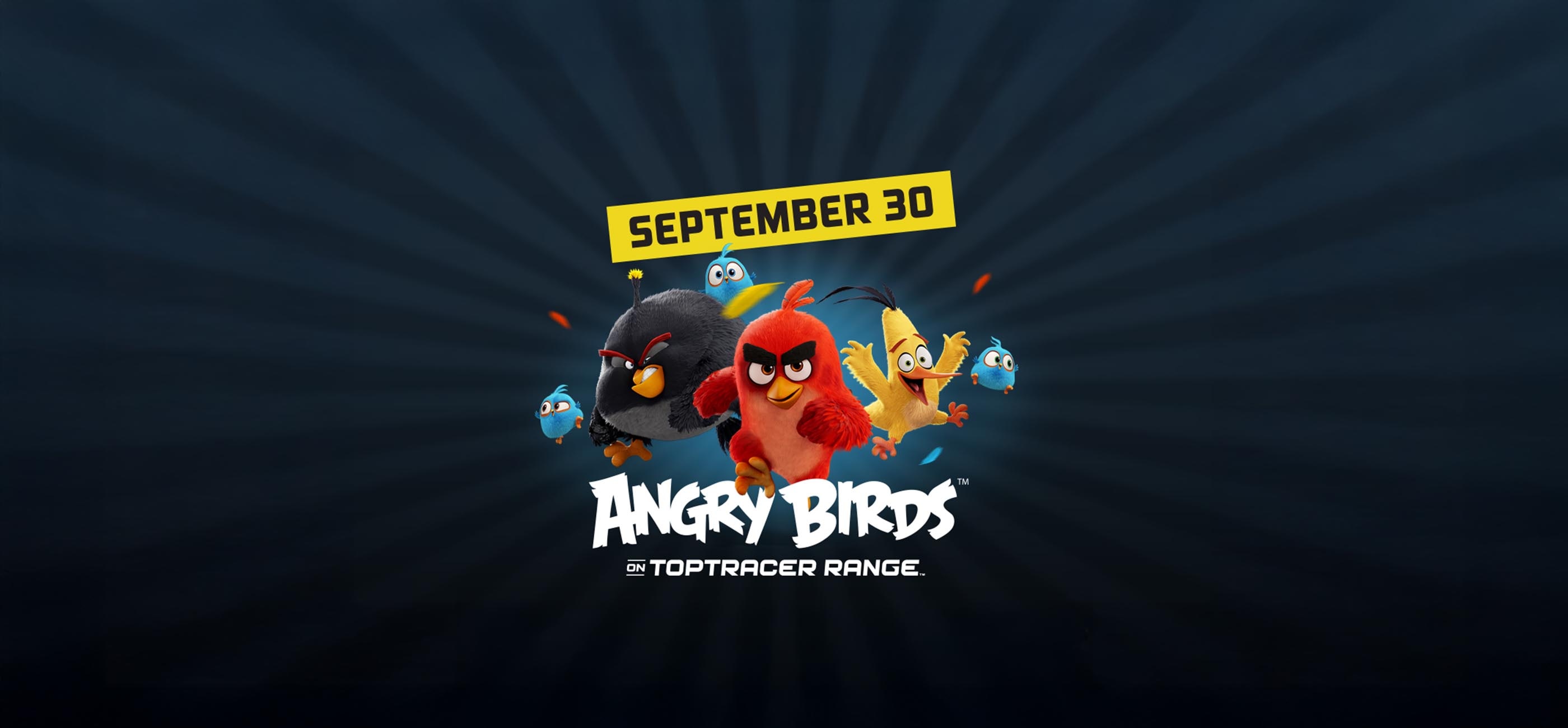 top racer angry birds banner