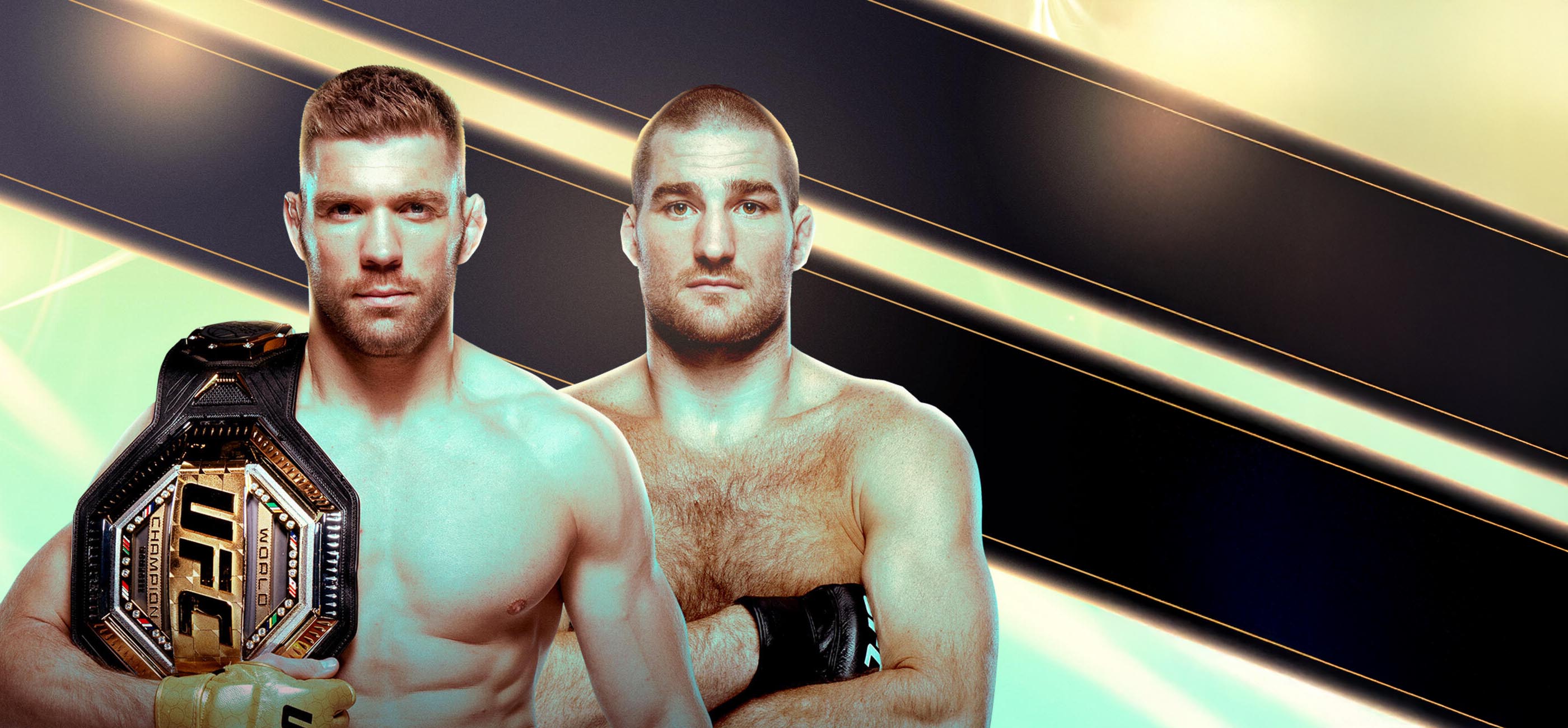 UFC 312 banner