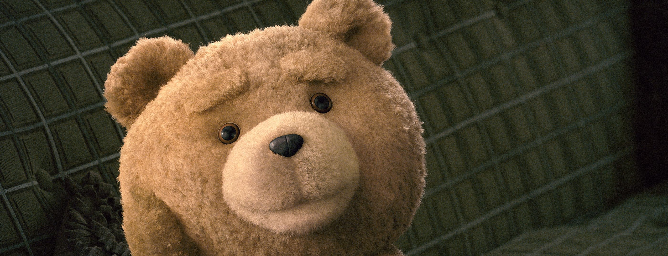 Ted Header banner