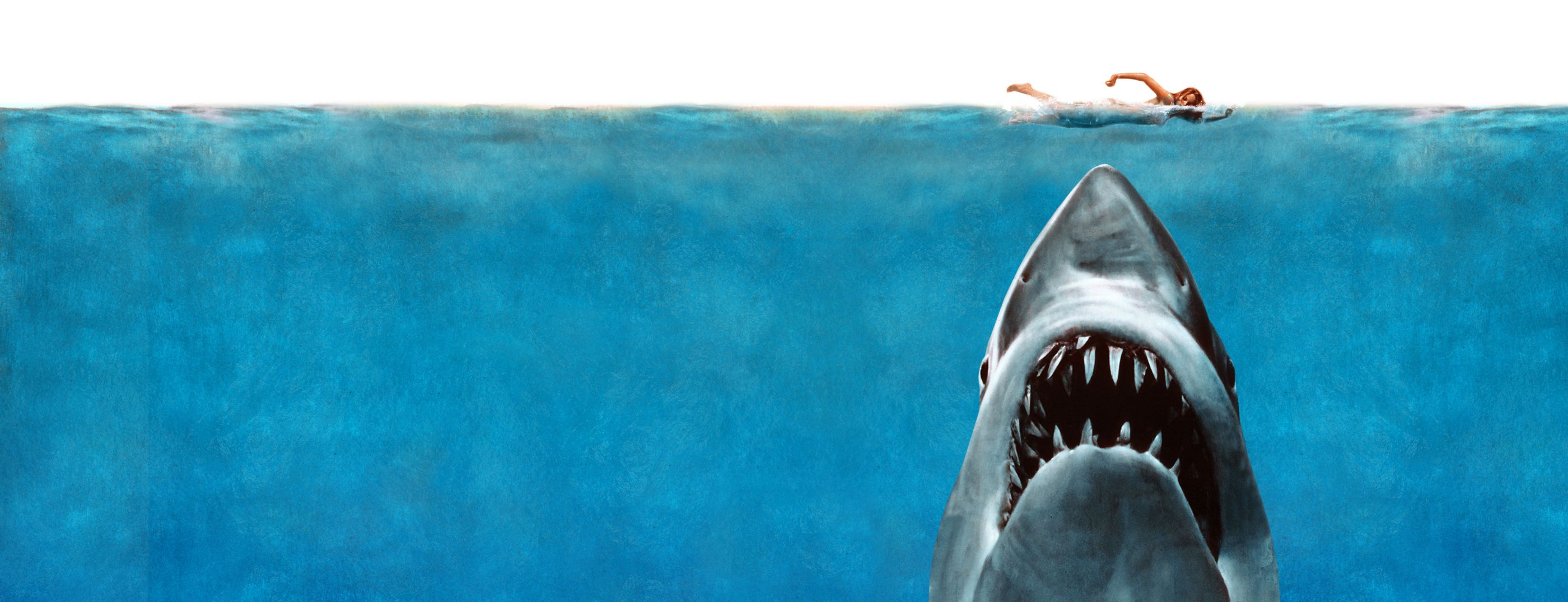 JAWS Banner Image 2800px x 1075px