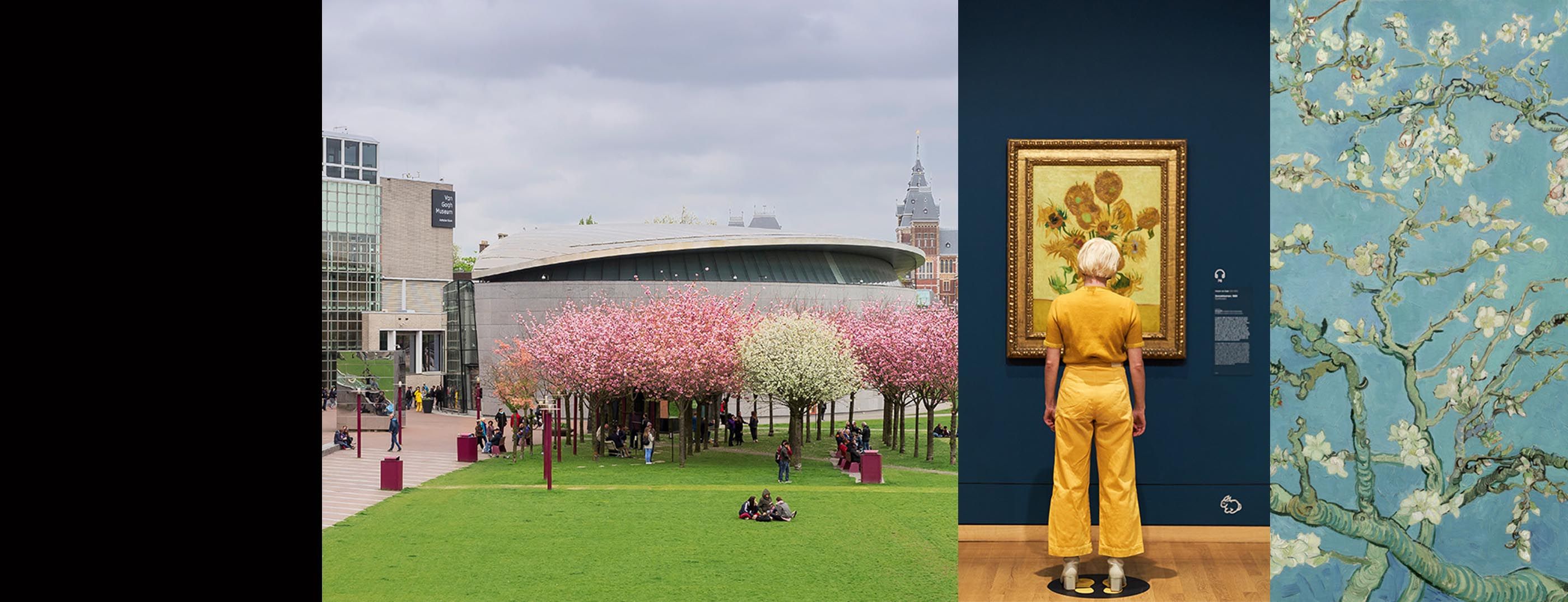 van gogh banner 2